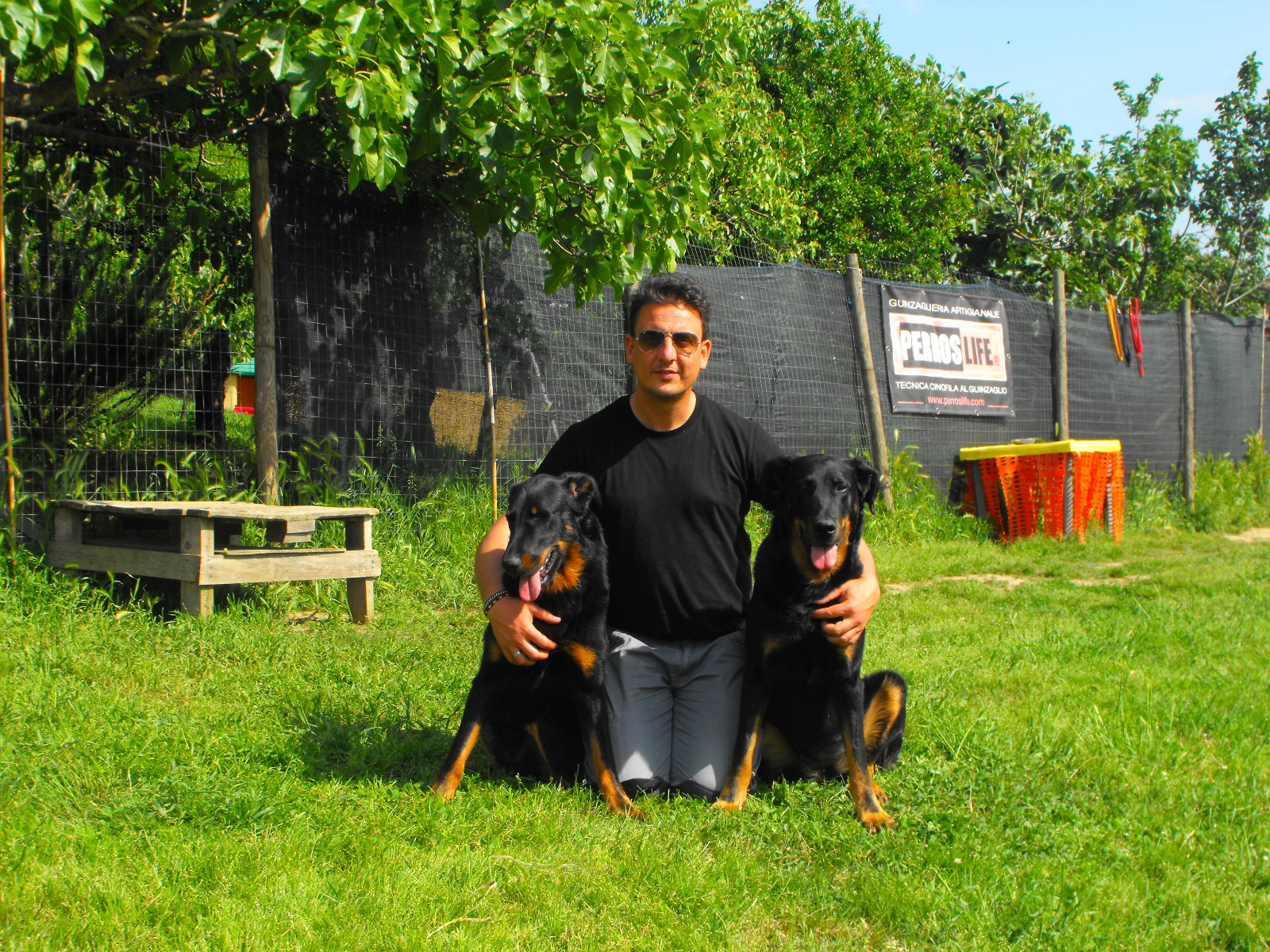 Luca Santamaria istruttore cinofilo Pisa