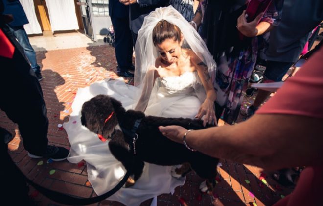 wedding dog sitter durante cerimonia