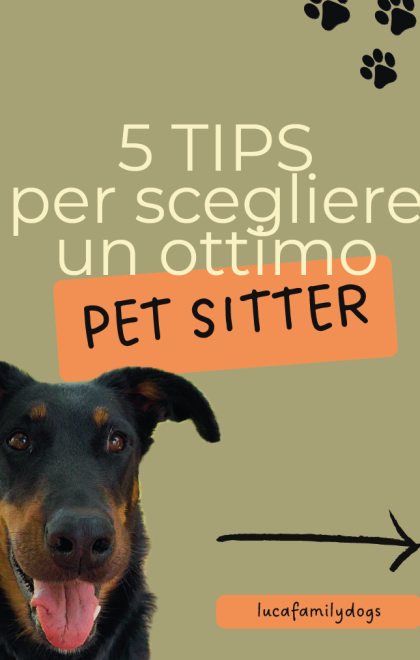 PETSITTER1