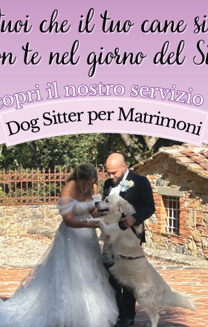 dogsittermatrimoni1