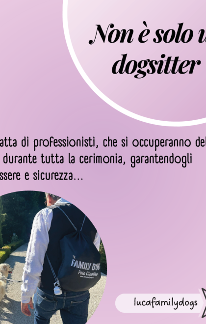 dogsittermatrimoni2