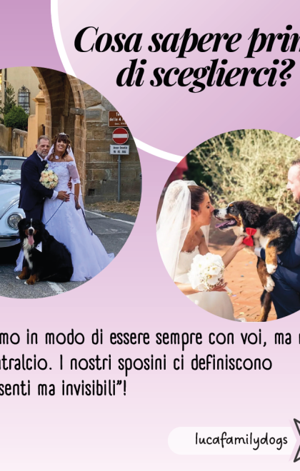 dogsittermatrimoni4