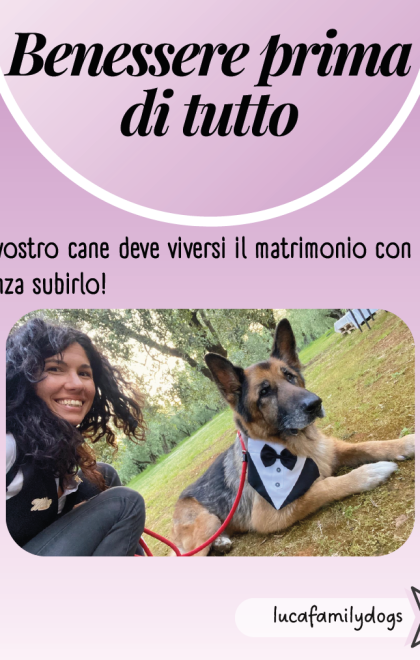 dogsittermatrimoni5