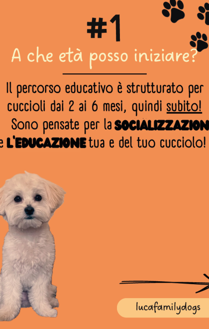 puppyclass2